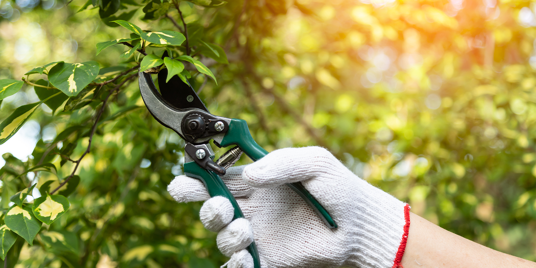 Losing PMF Part Two: why do businesses lose PMF?