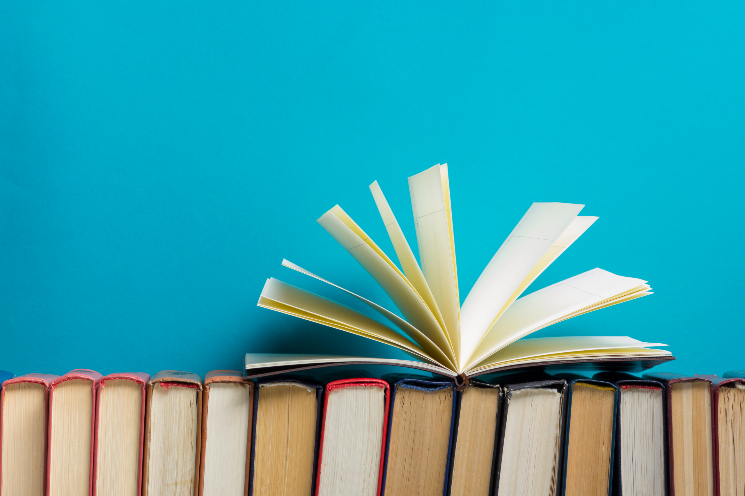 Fundraising 101: a guide to fundraising for a pre-seed startup